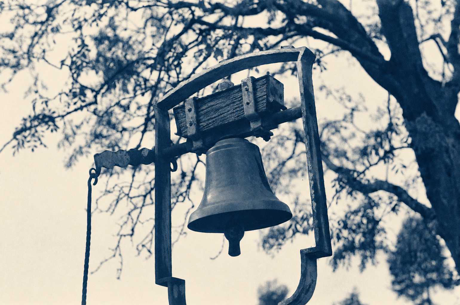 A hanging bell among trees, photographed on film and tinted indigo and cream.